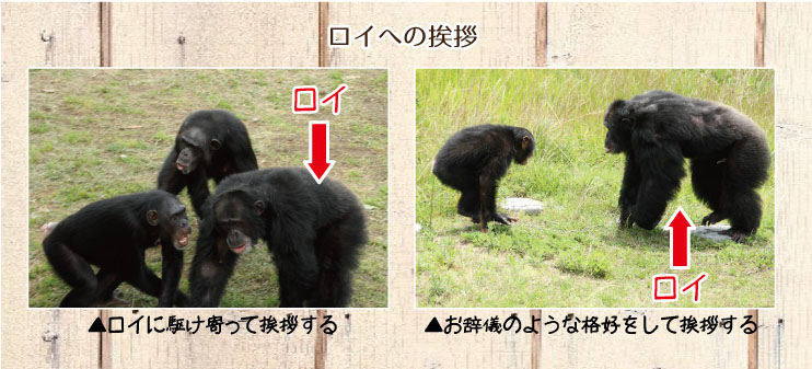 ロイへの挨拶